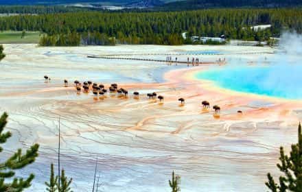 Entrances to Yellowstone