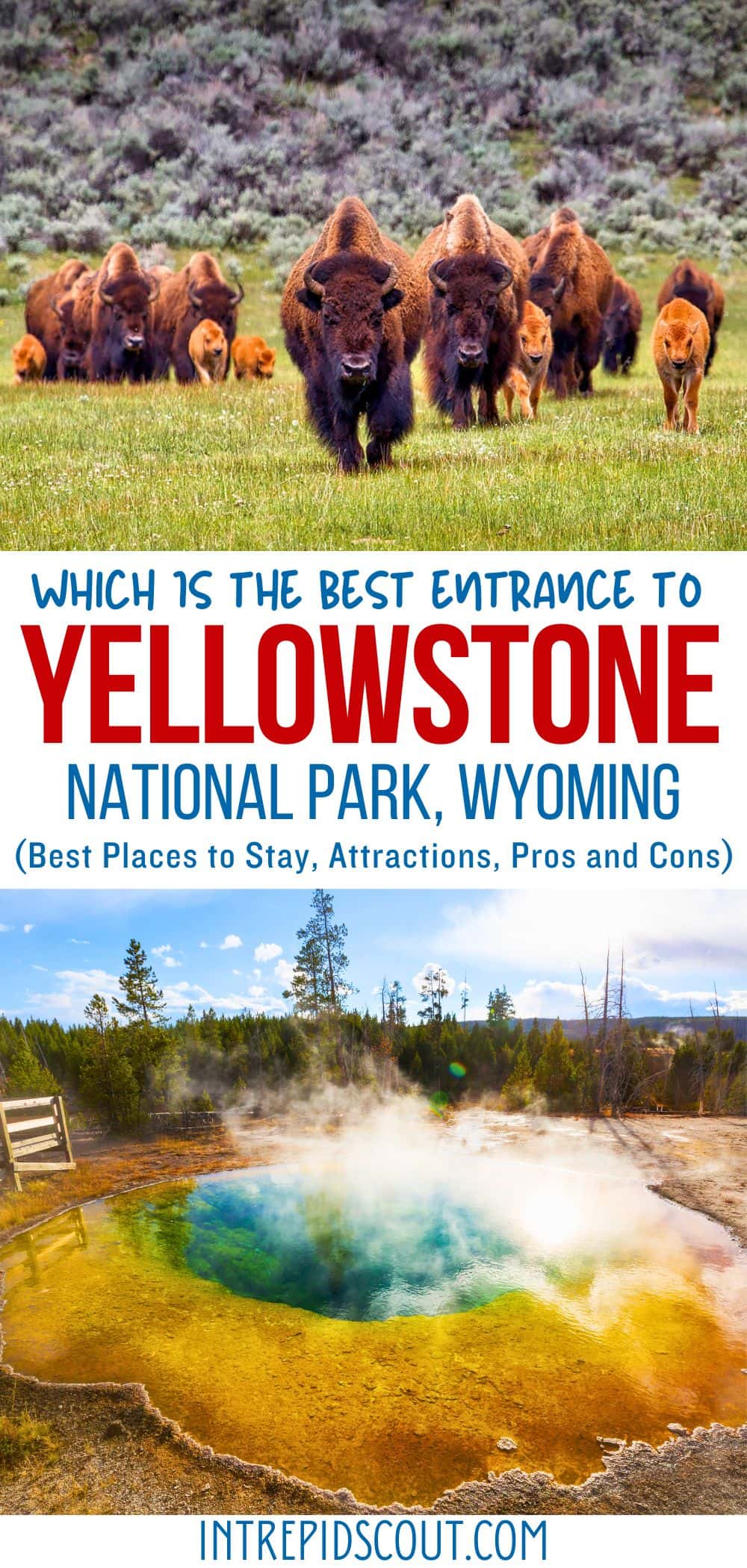 Entrances to Yellowstone