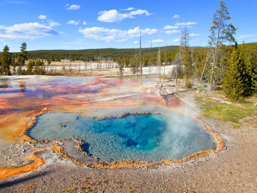 Best Stops on Yellowstone Lower Loop Drive Firehole Lake