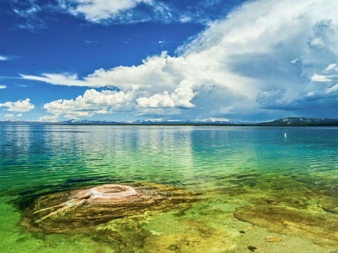 Best Stops on Yellowstone Lower Loop Drive Fishing Cone