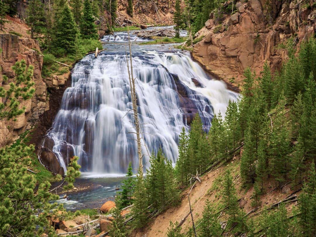 Best Stops on Yellowstone Lower Loop Drive Gibbon Falls