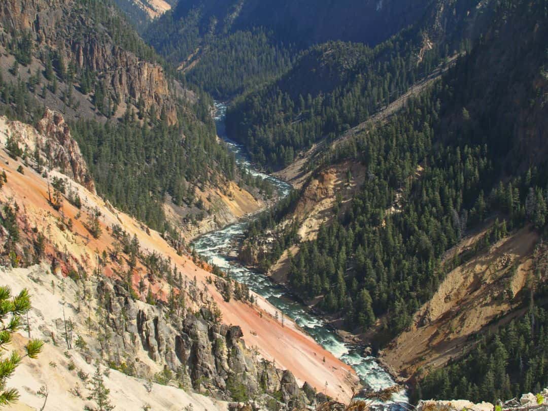 Grand View in the Grand Canyon of the Yellowstone