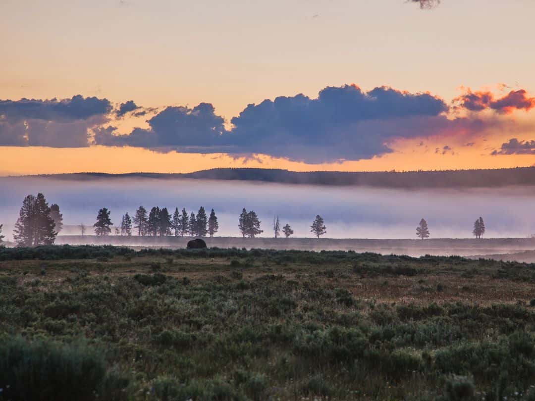 Hayden Valley at Sunrise