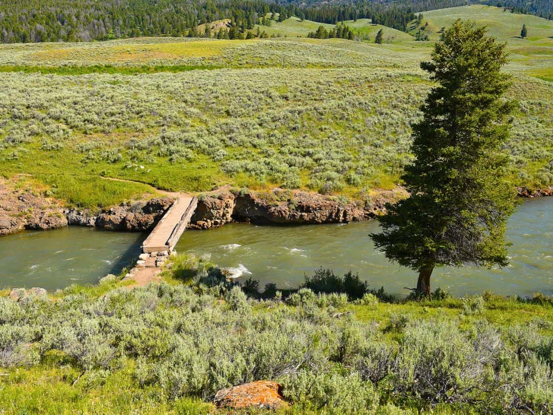 Lamar River Trail