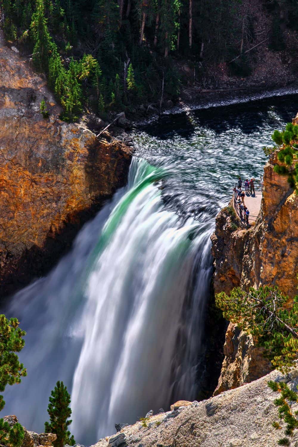 Best Stops on Yellowstone Lower Loop Drive Lower Falls in Grand Canyon of Yellowstone