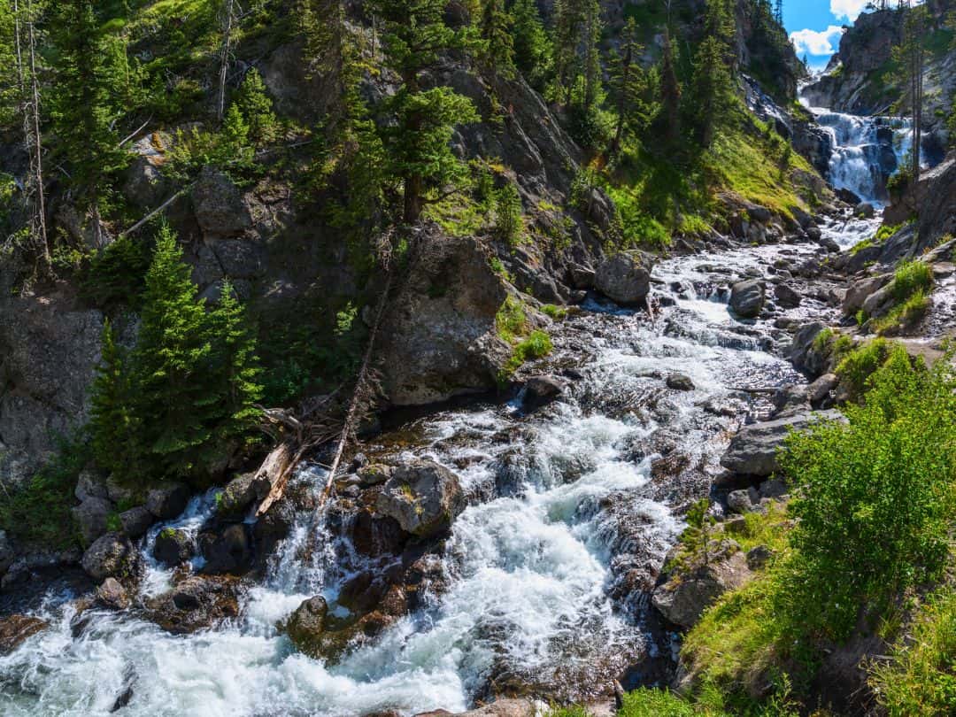 Short and Easy Hikes in Yellowstone