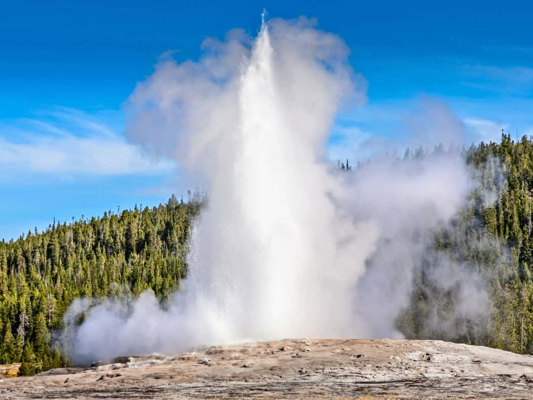 Old Faithful Geyser in Yellowstone