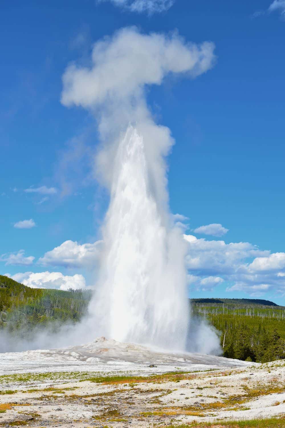One Day in Yellowstone Old Faithful