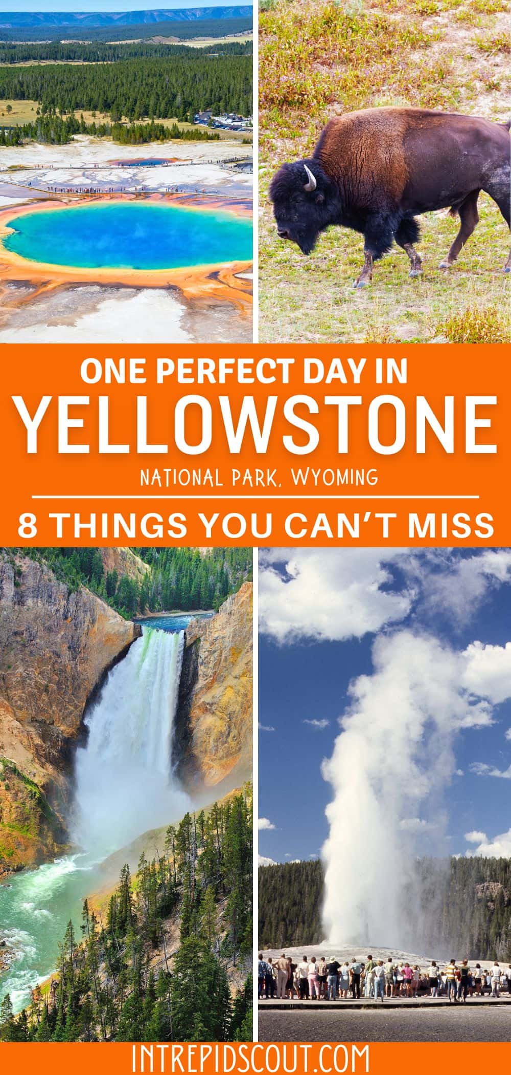 One Day in Yellowstone One Day in Yellowstone