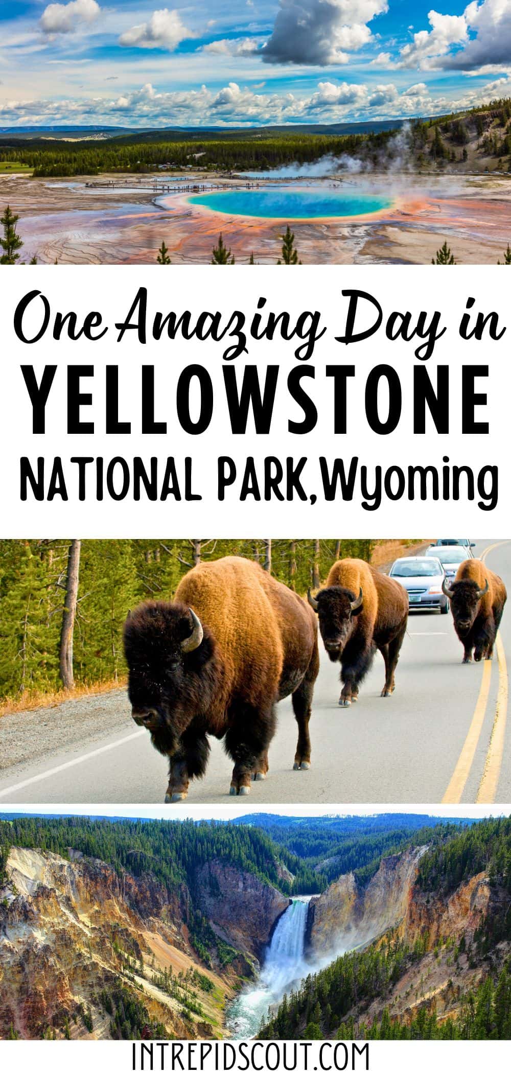 One Day in Yellowstone