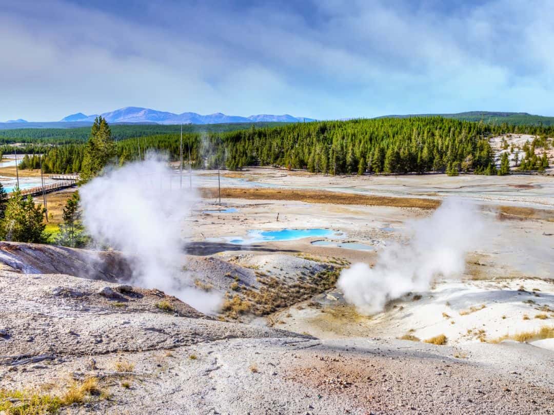 Best Stops on Yellowstone Lower Loop Drive