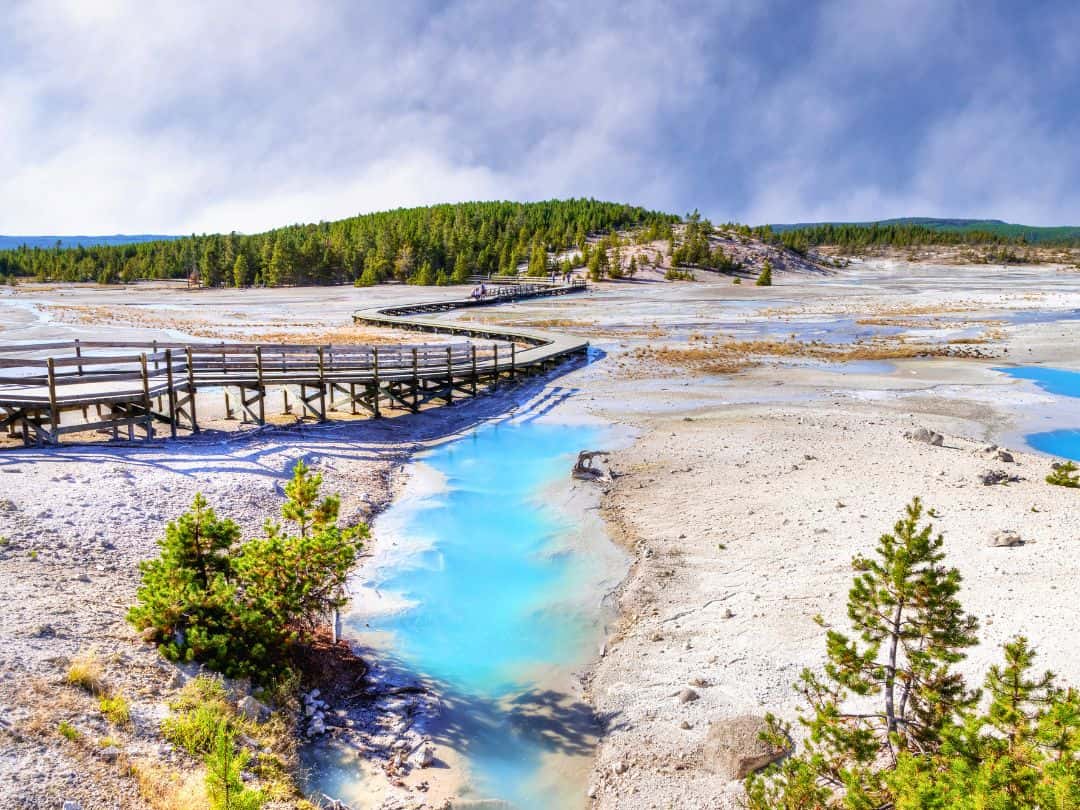 Best Stops on Yellowstone Lower Loop Drive Norris Geyser Basin