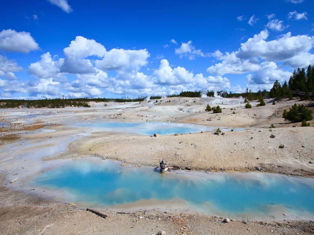 Porceline Basin