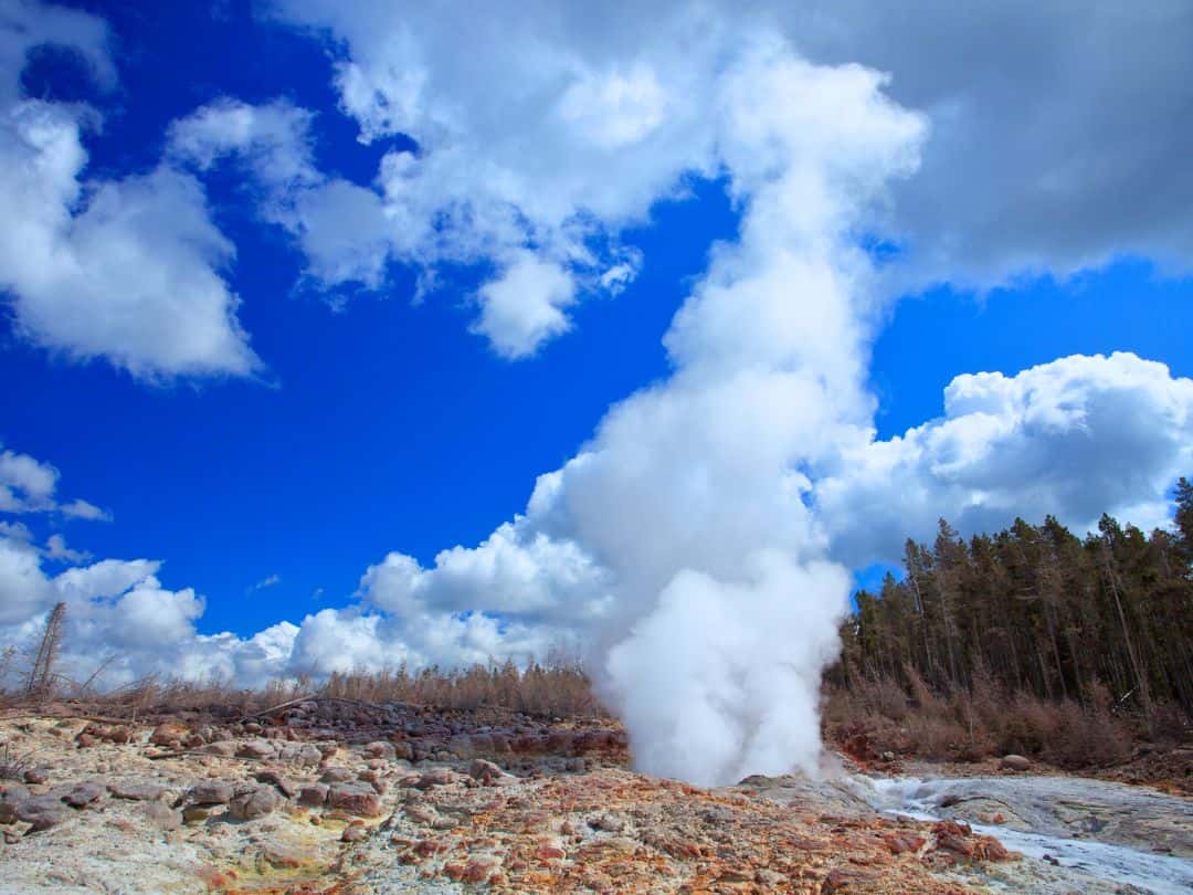 Short and Easy Hikes in Yellowstone