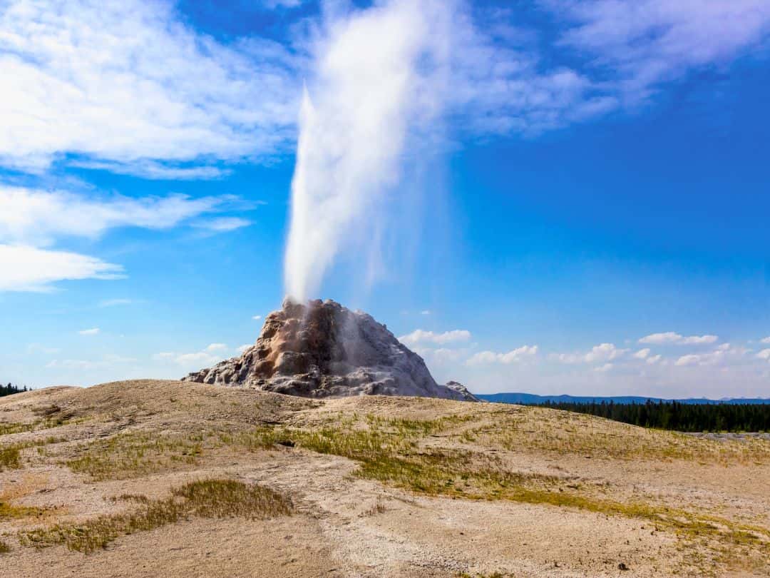 Best Stops on Yellowstone Lower Loop Drive White Dome Geyser