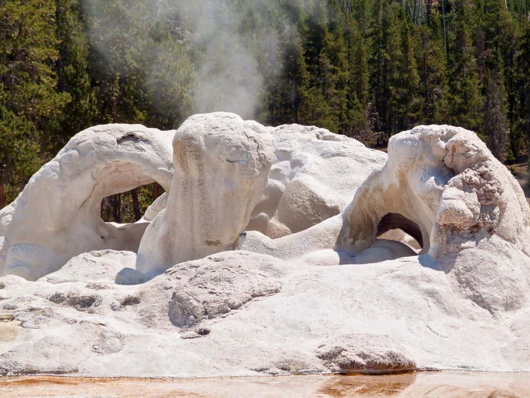 Guide to the Upper Geyser Basin Grotto Geyser