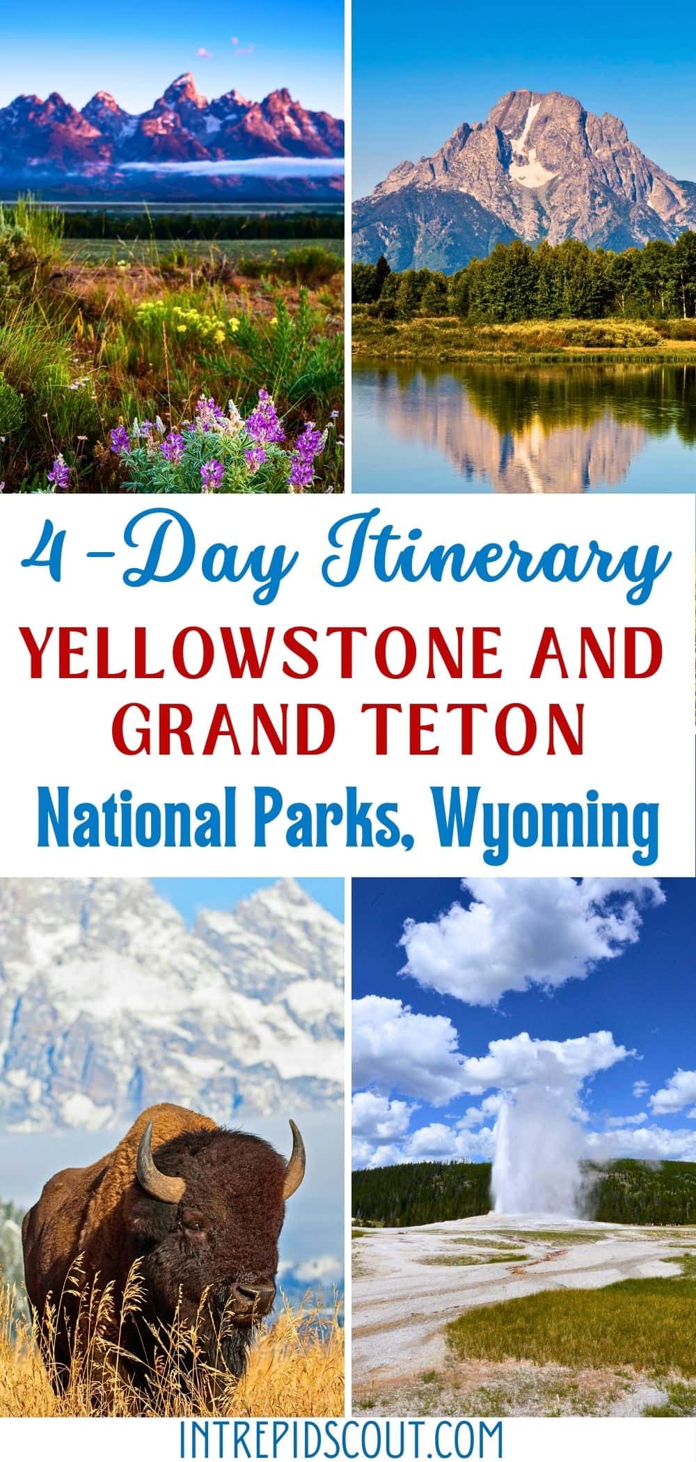 4 Days in Yellowstone and Grand Teton