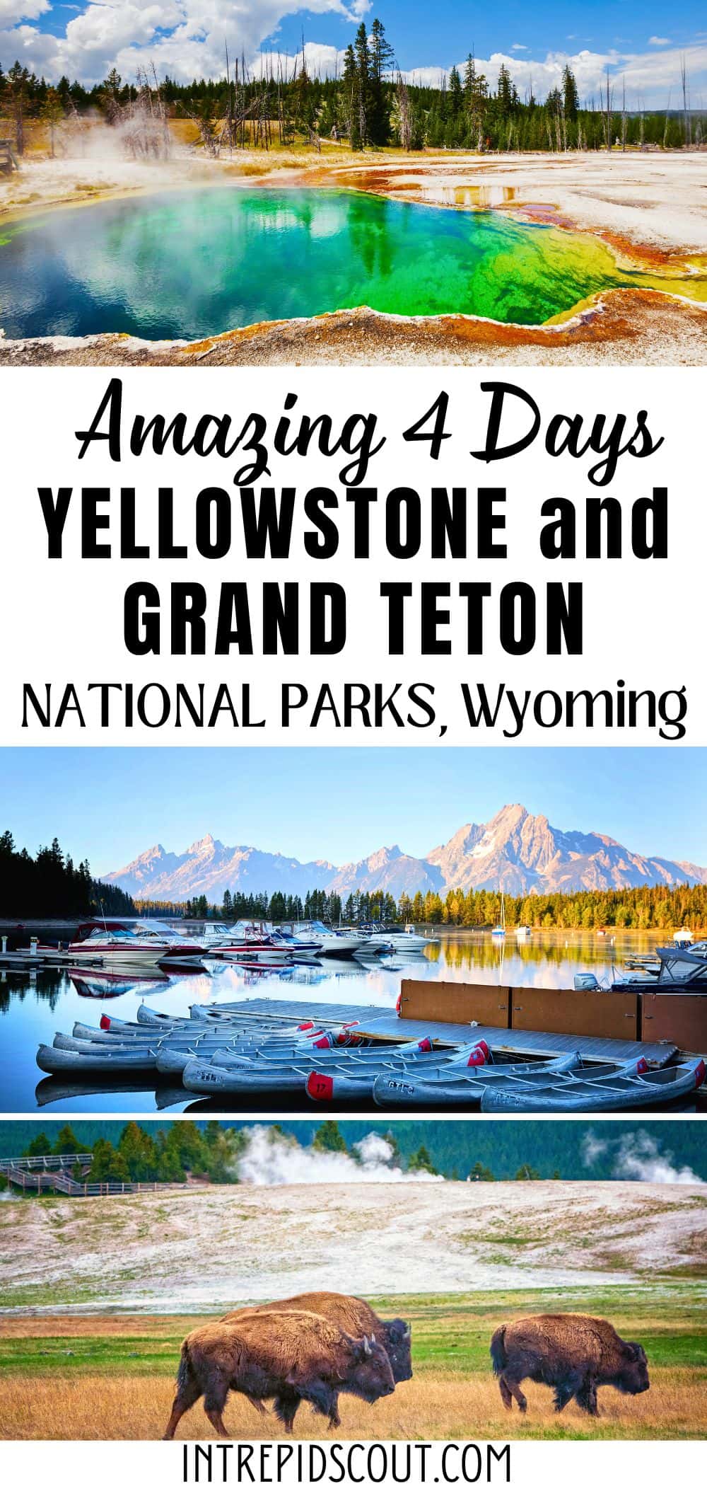 4 Days in Yellowstone and Grand Teton