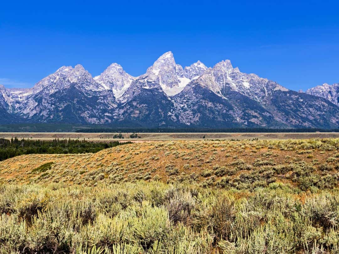 Cathedral Group in Grand Teton