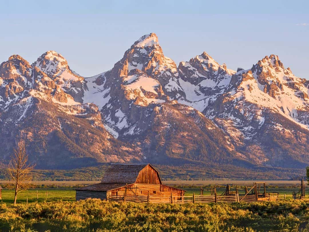 Mormon Row in Grand Teton at Sunrise