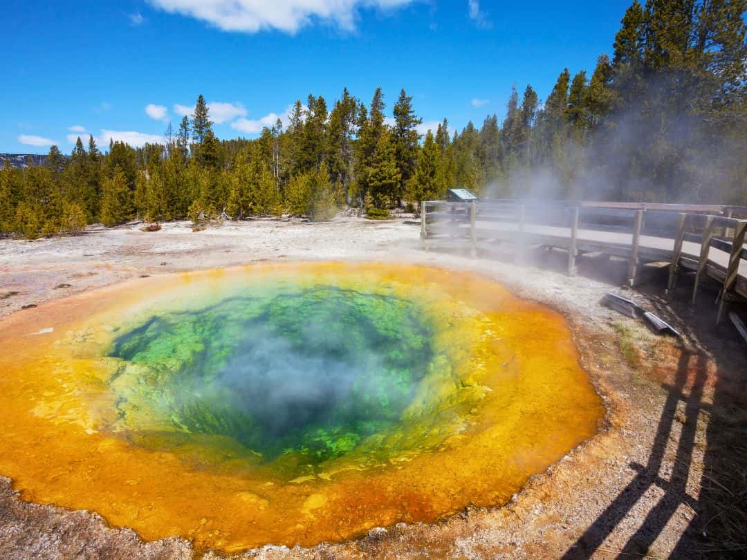 Morning Glory Pool in Yellowstone