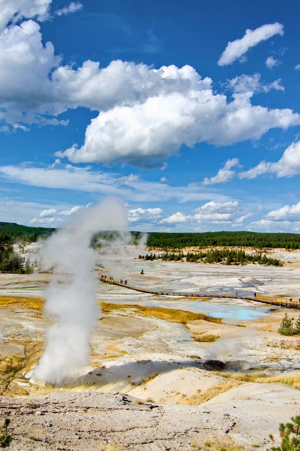 Norris Geyser Basin in Yellowstone