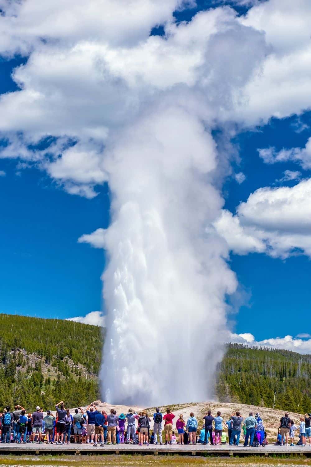 Old Faithful in Yellowstone