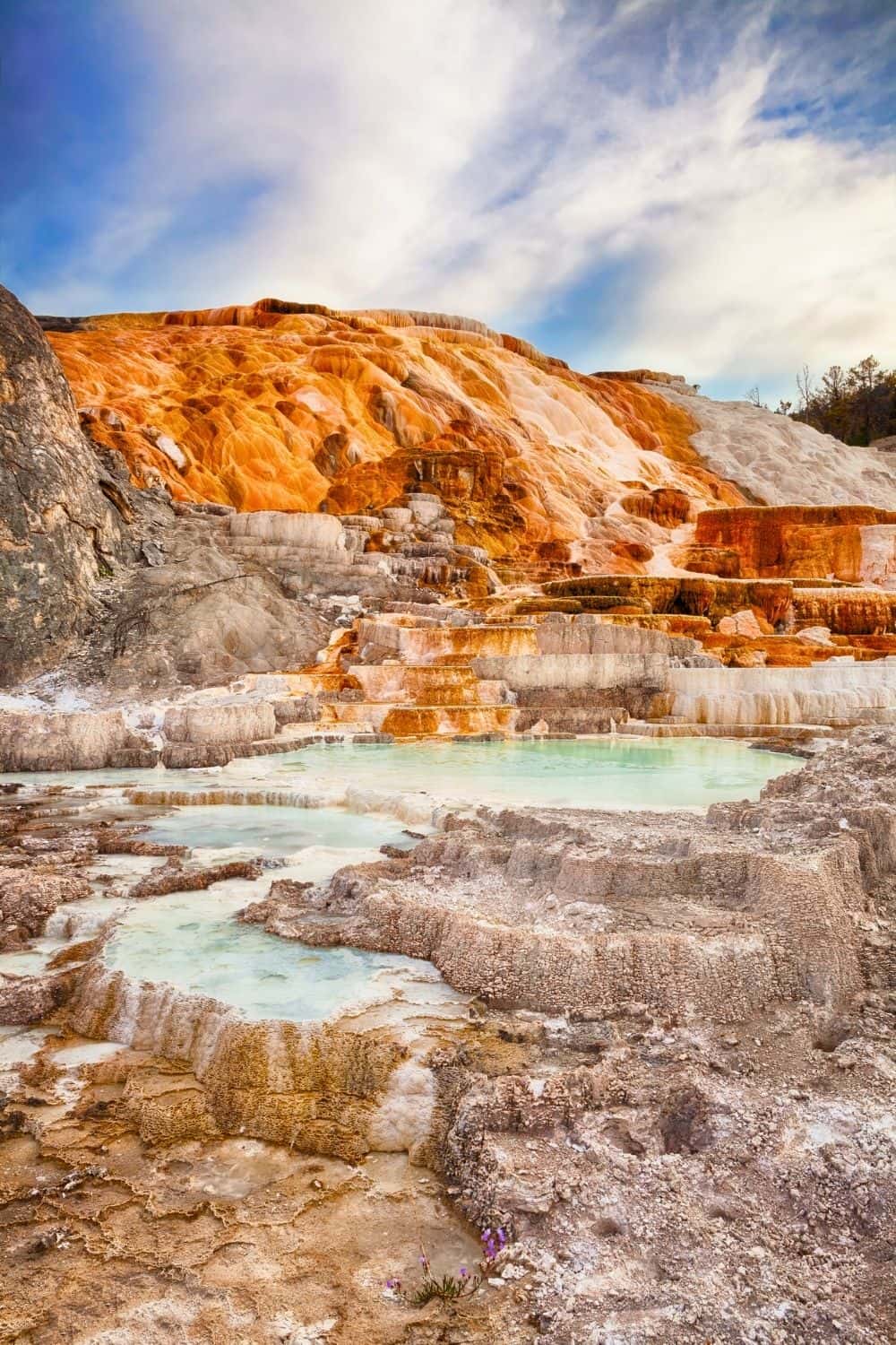 Palette Springs in Mammoth Hot Springs in Yellowstone