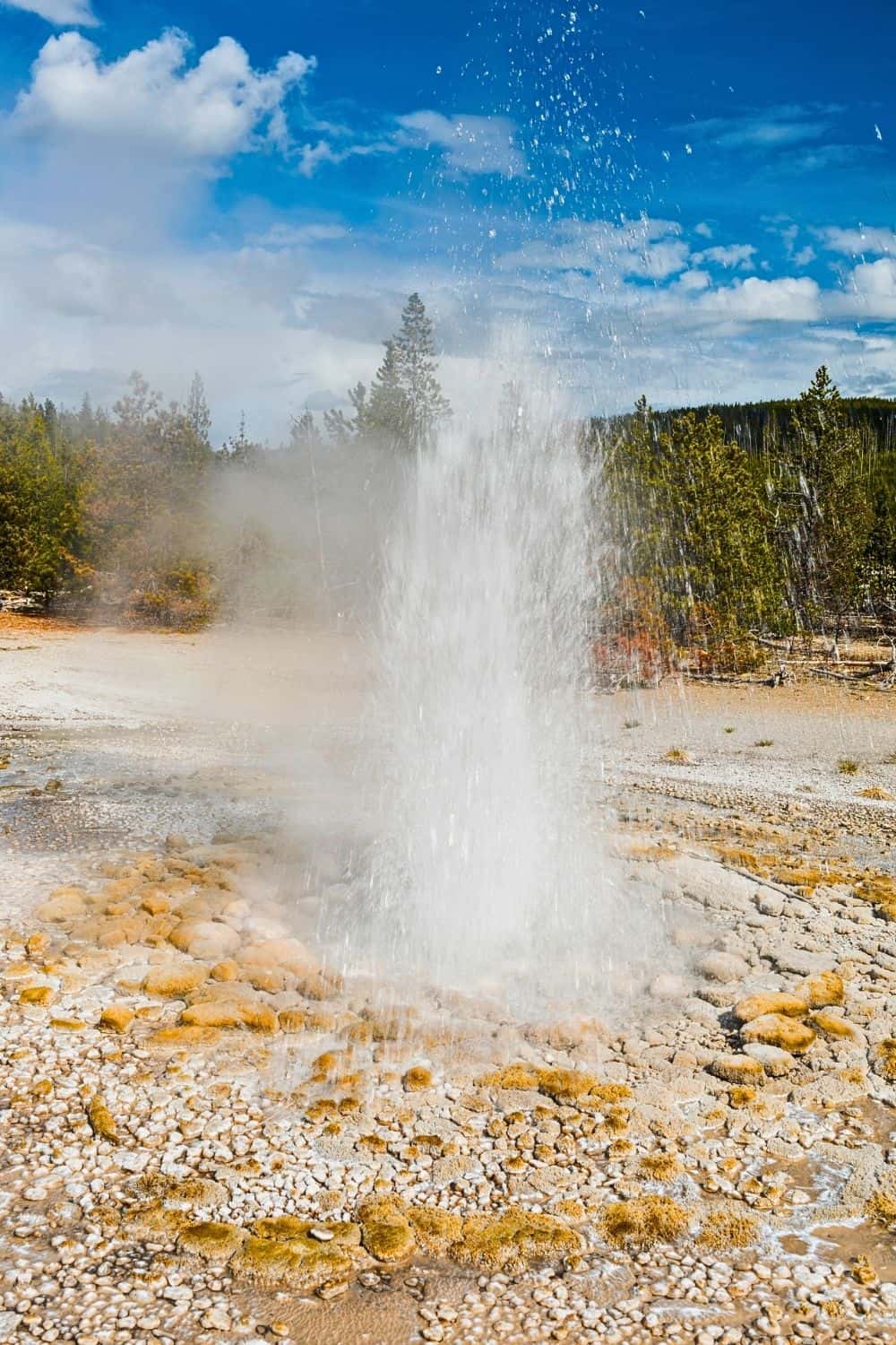 Vixen Geyser in Porcelain Basin, Yellowstone National Park