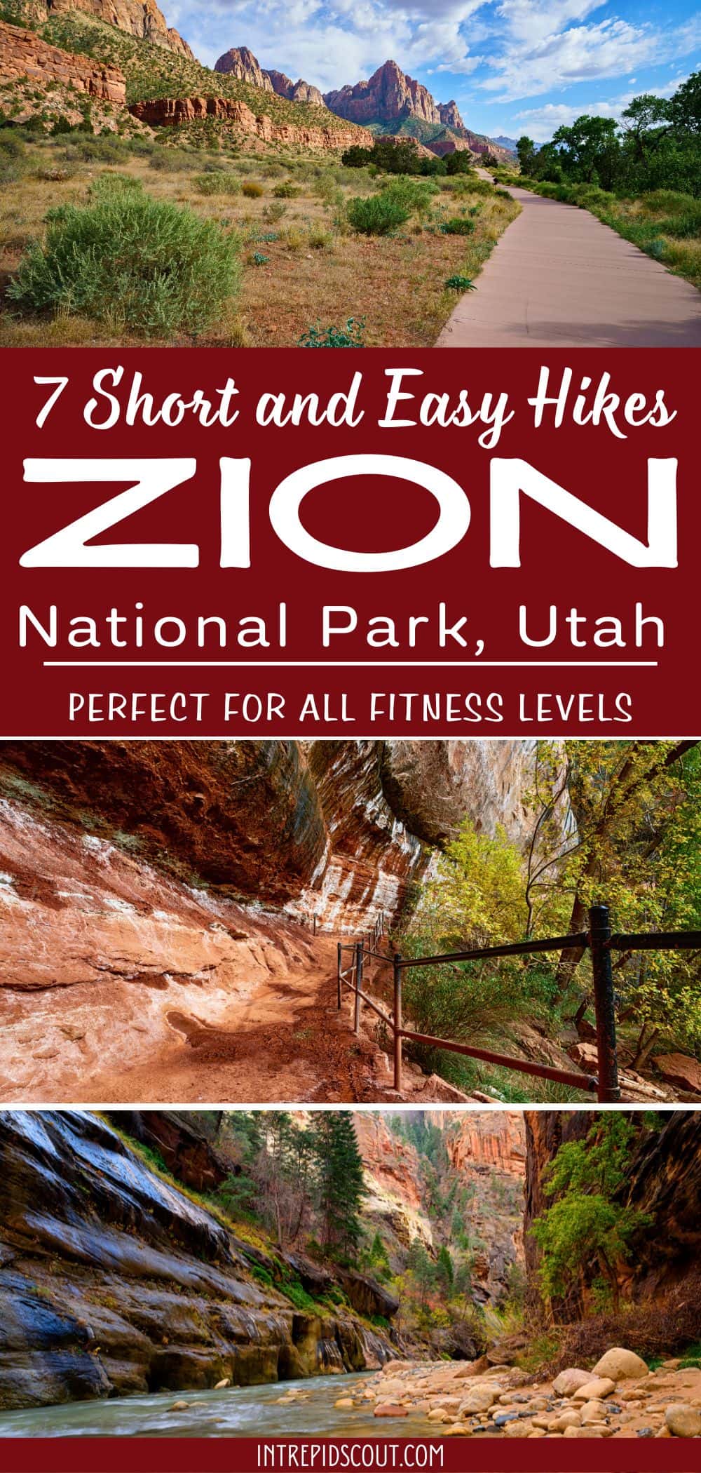 Easy Hikes in Zion