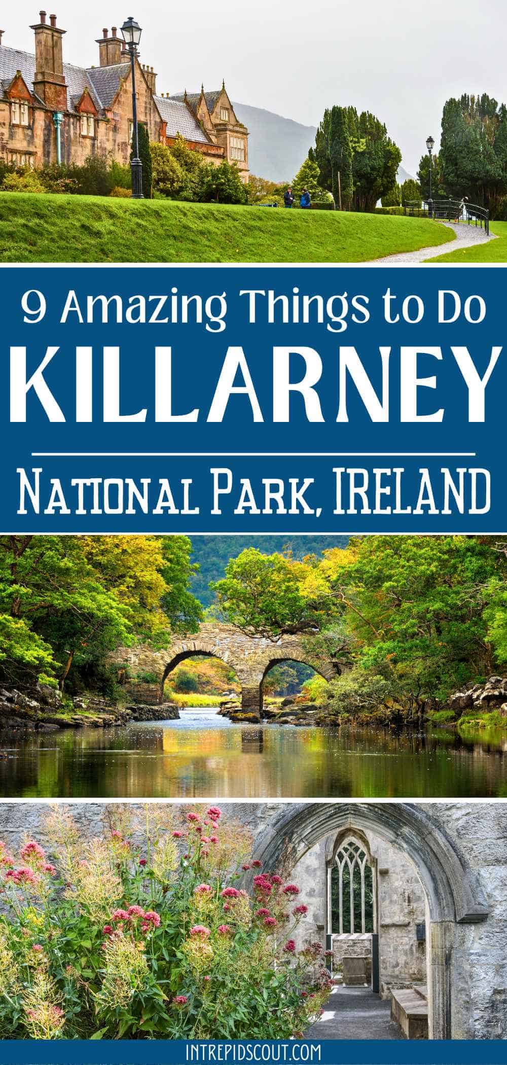 Things to Do in Killarney National Park