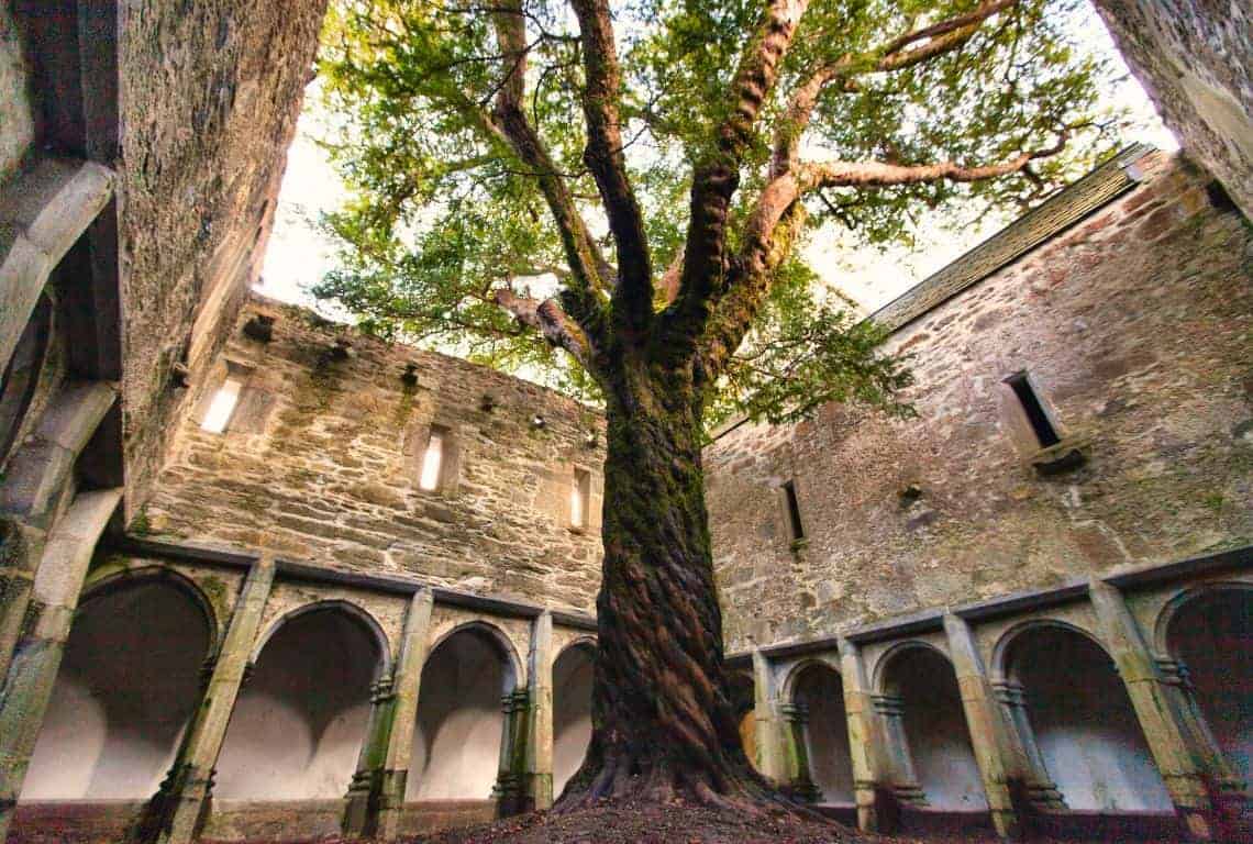 Muckross Abbey in Killarney