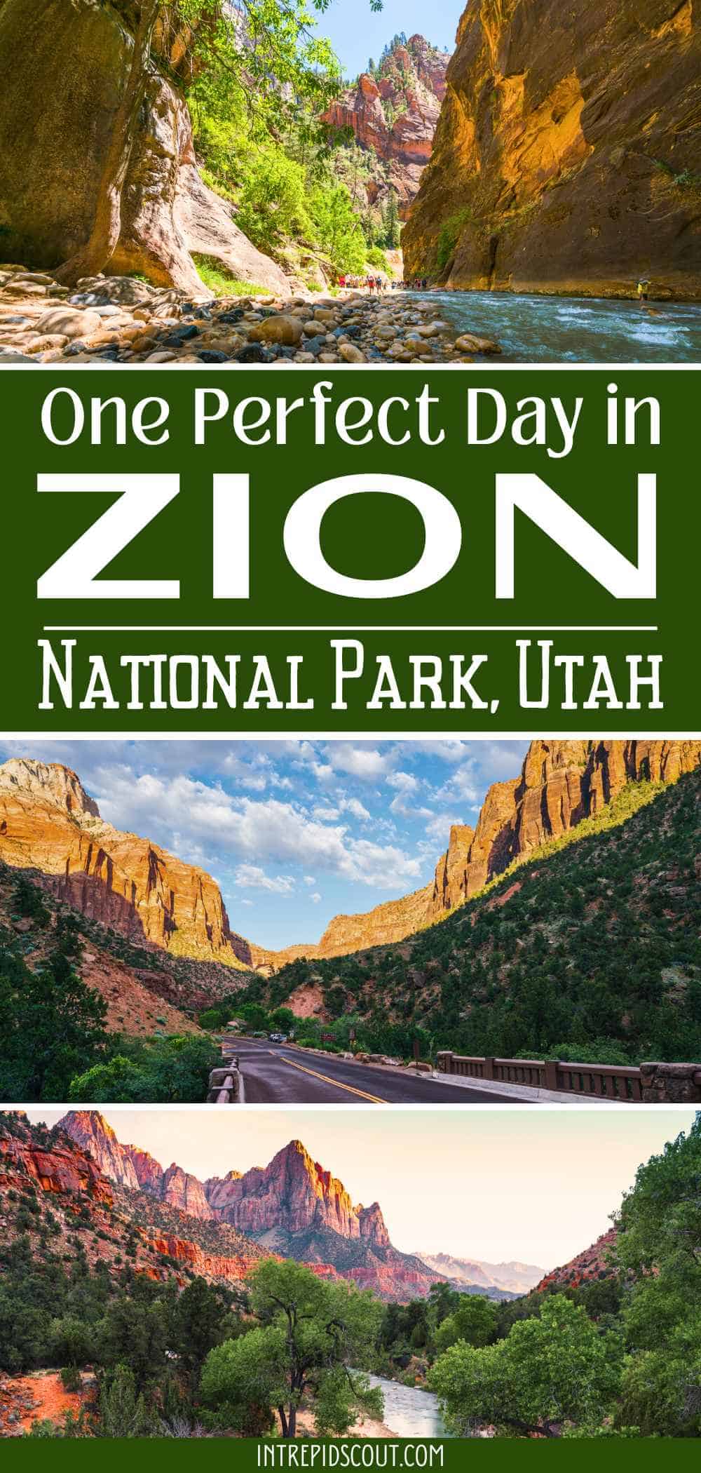 One Day in Zion