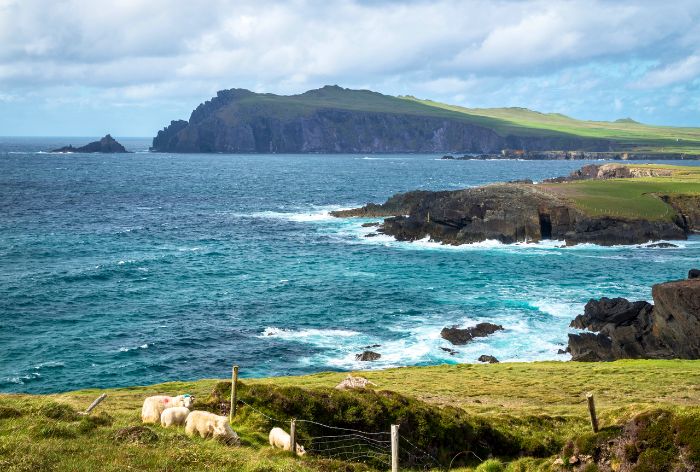 Clogher Head on Dingle Peninsula